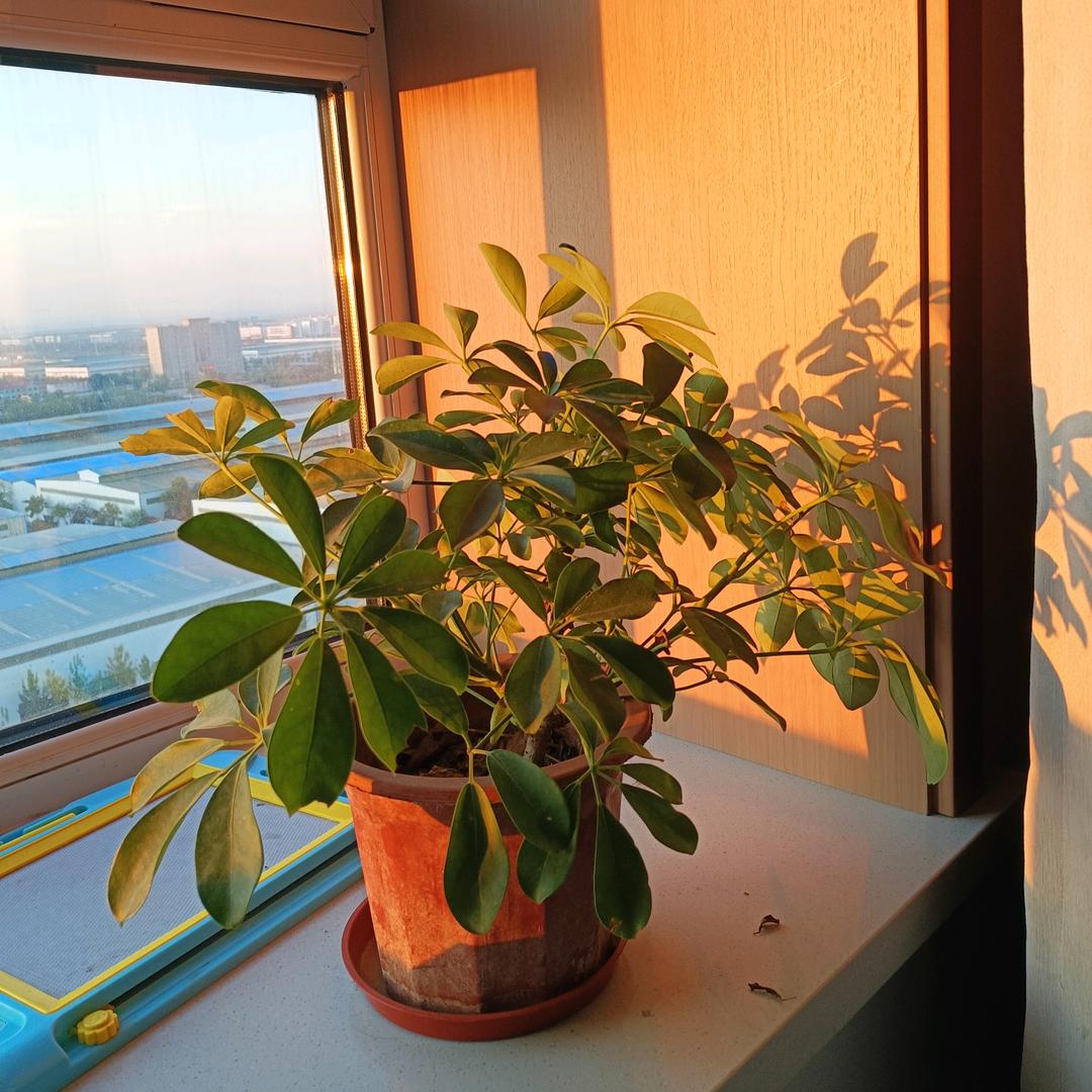 🌈星星月亮太阳🌞🌞🌞🌞