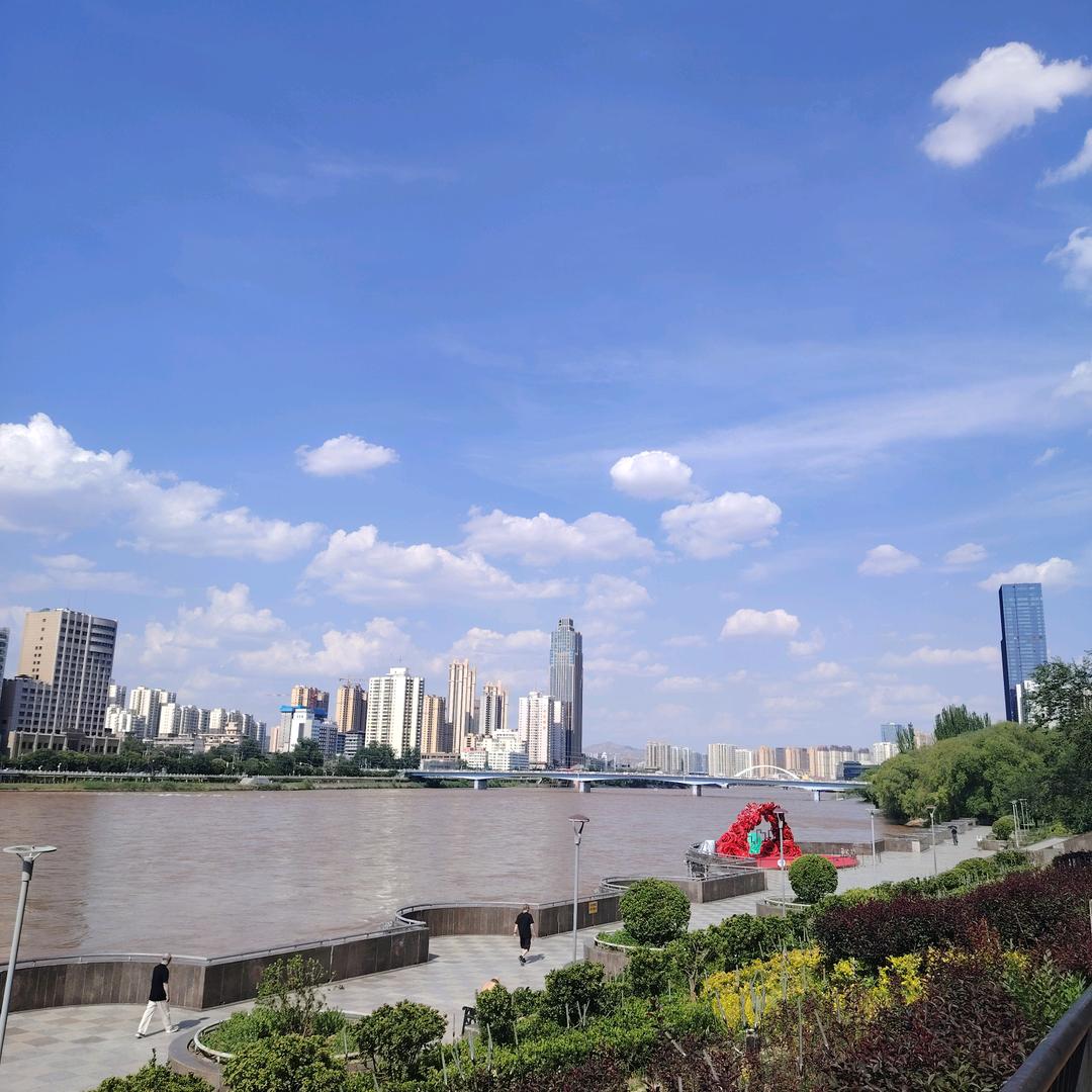 杨春平