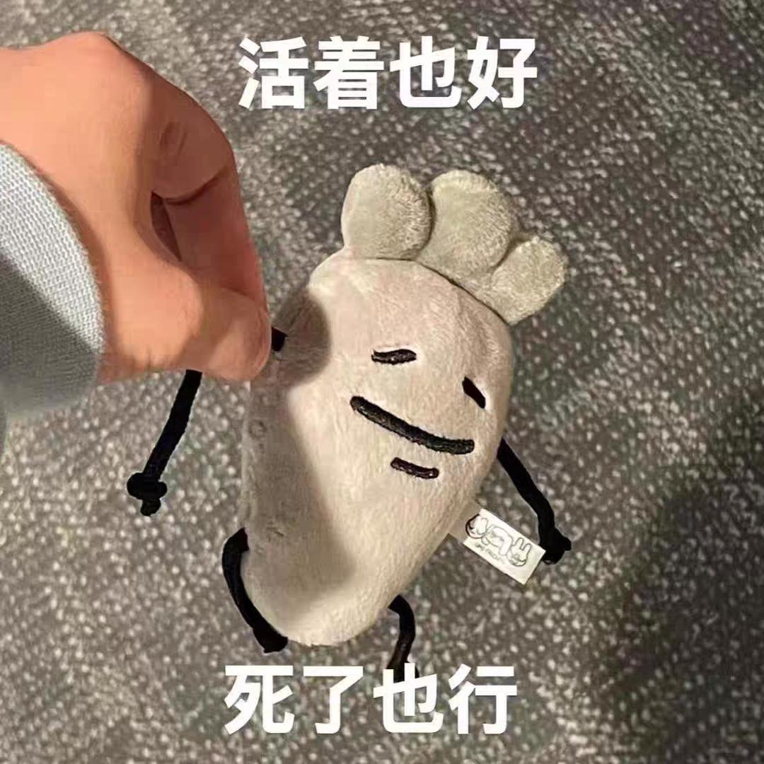 招财小猫