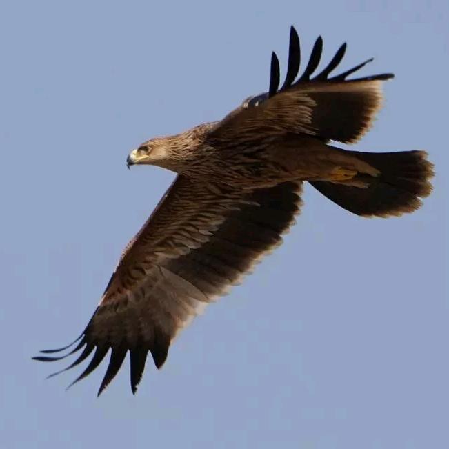 自强不息(颖茹最爱)