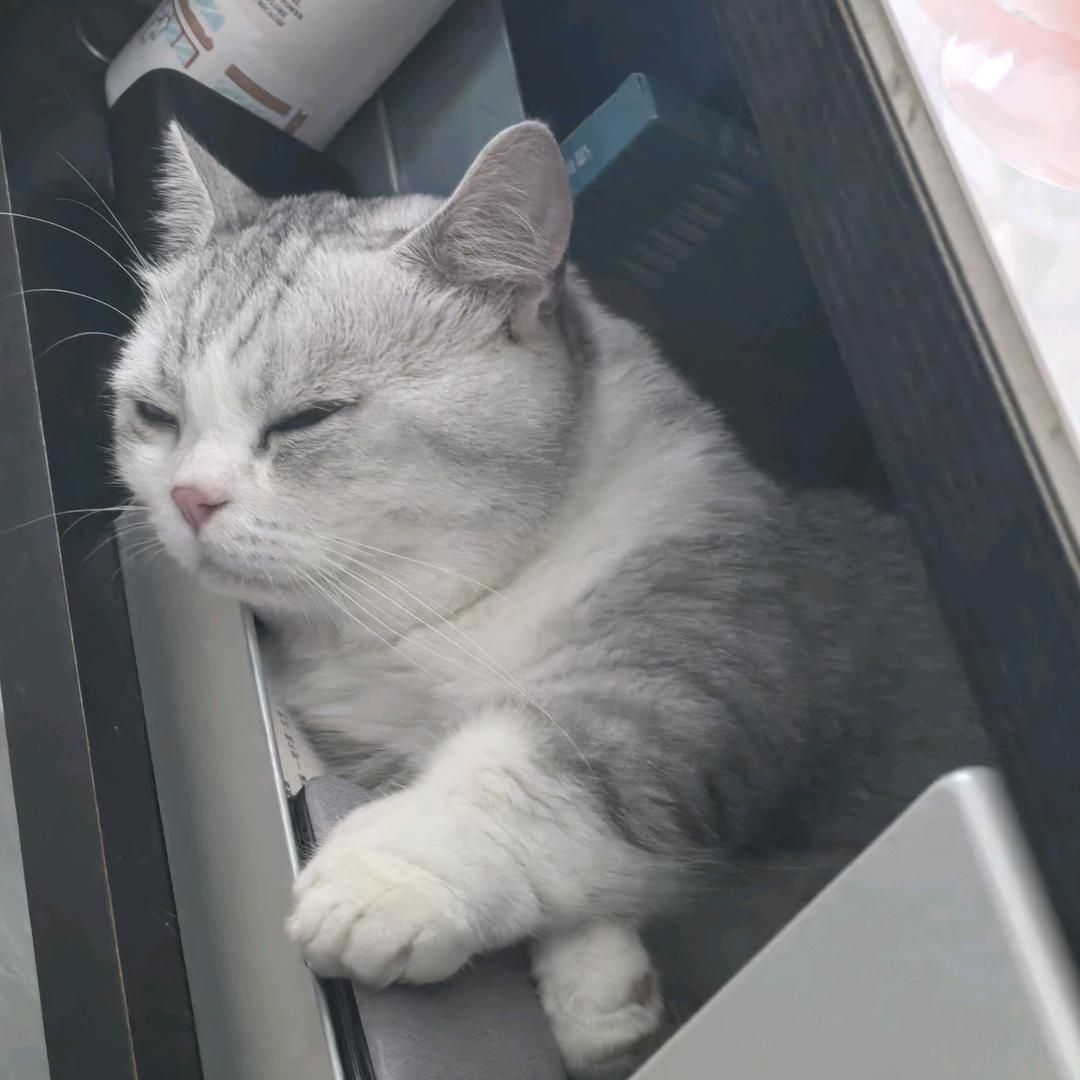 夜夜似光年