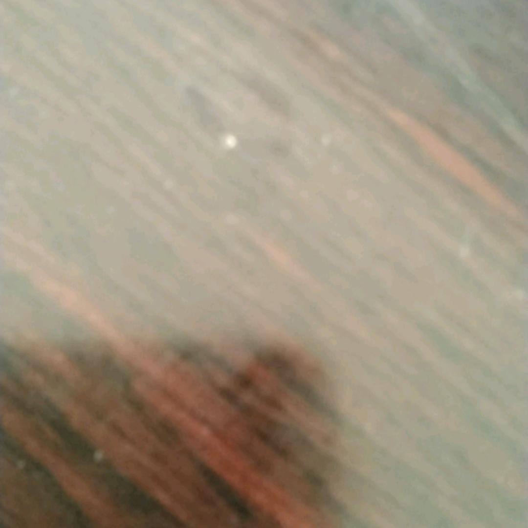 程春菊香啊哈哈