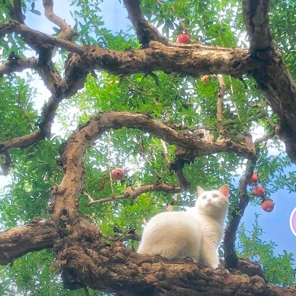 忘记你我做不到188