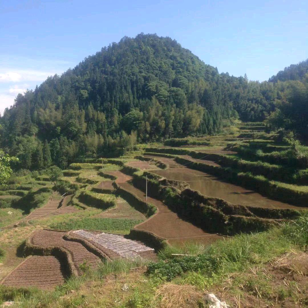 龙跃联华