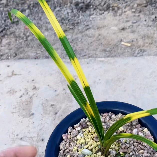 ☞涂涂