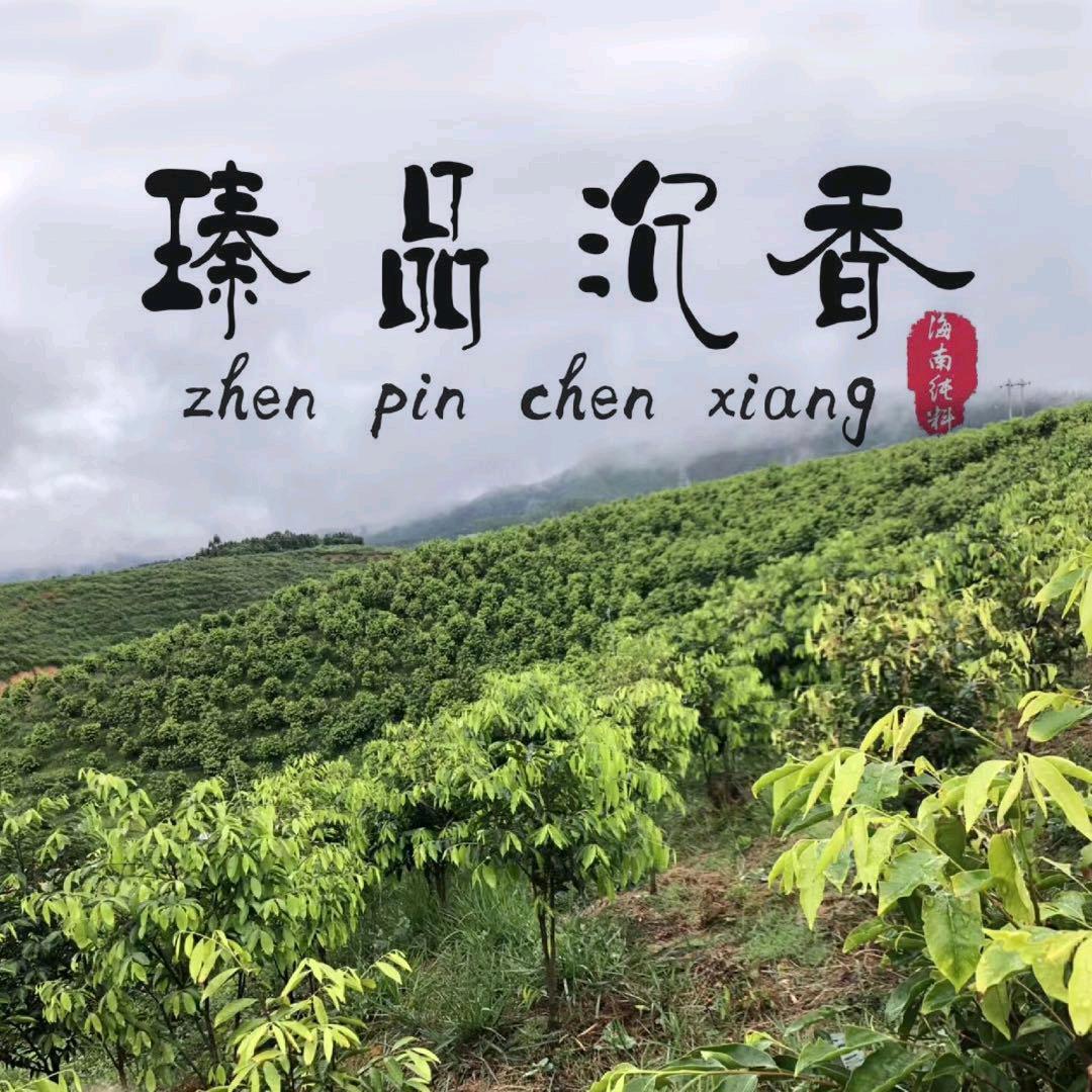 海南瑧品沉香