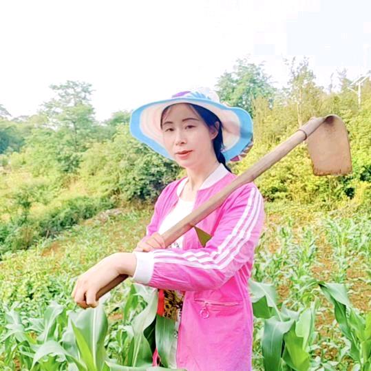 贵州七妹1