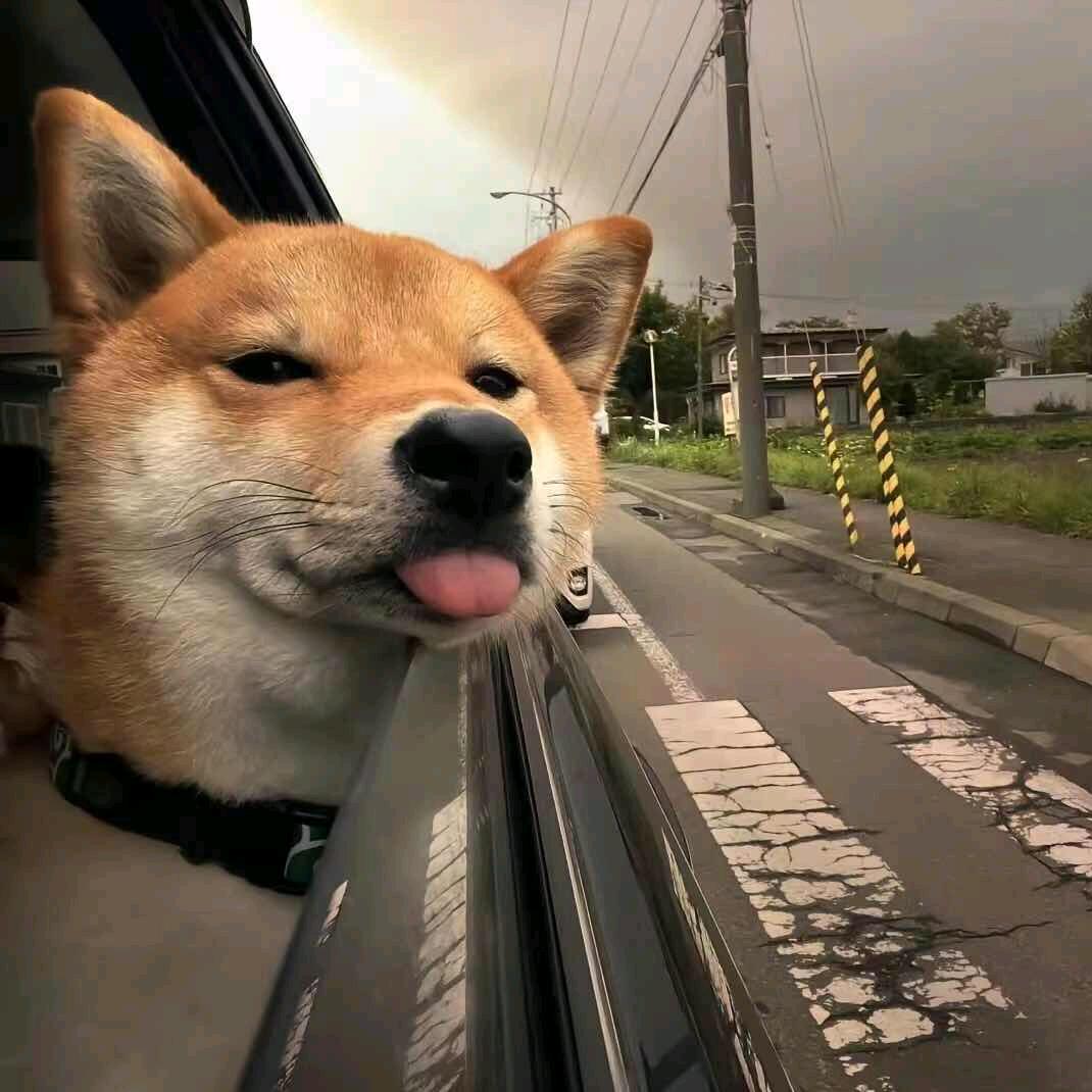 溜溜个球