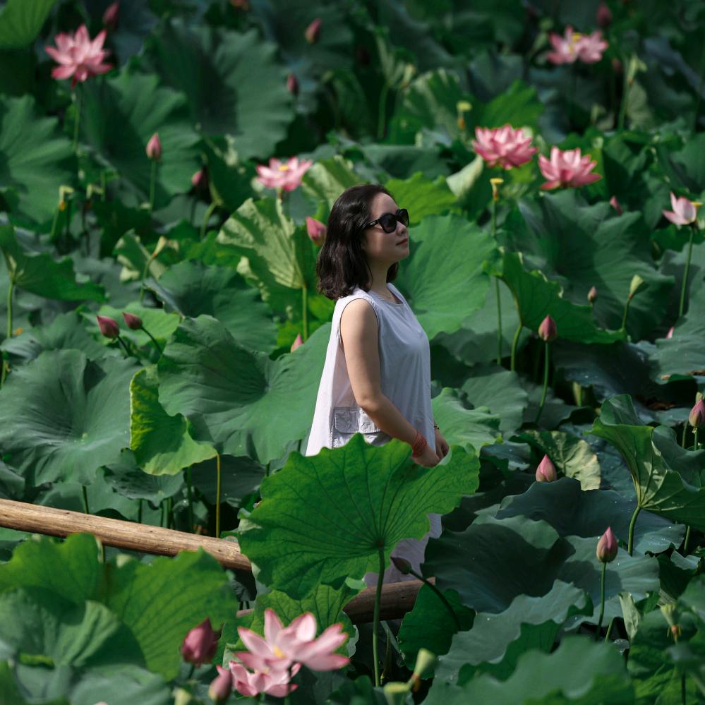 山中小花