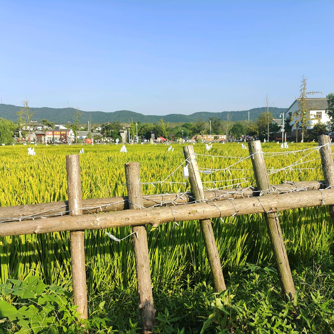 不过尔尔