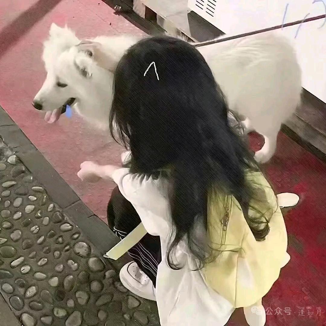 ✨小黎不爱说话✨