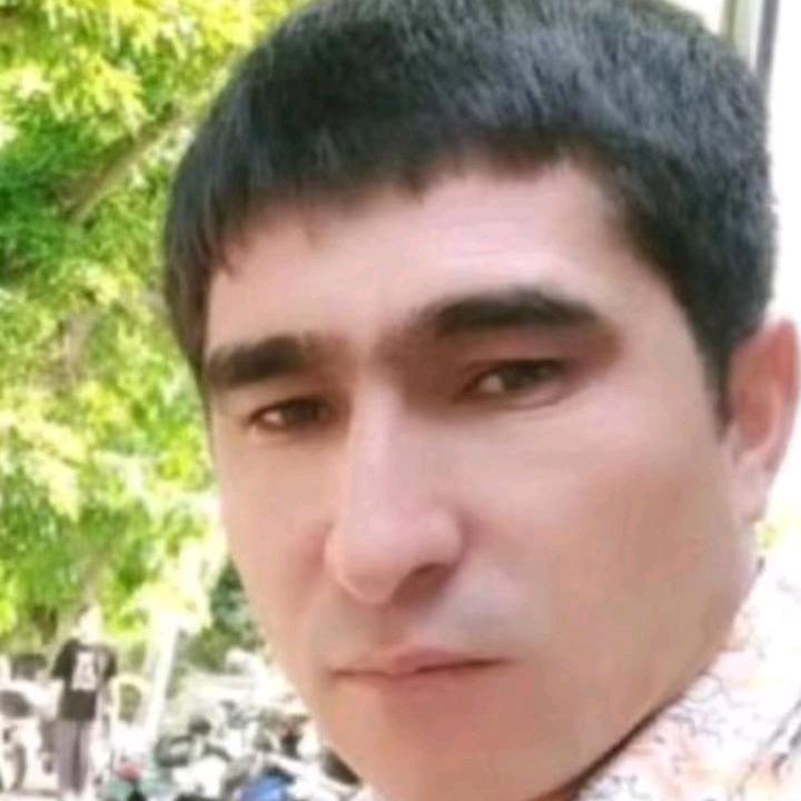💕老虎 ❤
