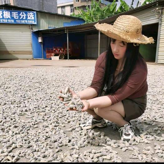 峨山村播联盟副主席冯慧