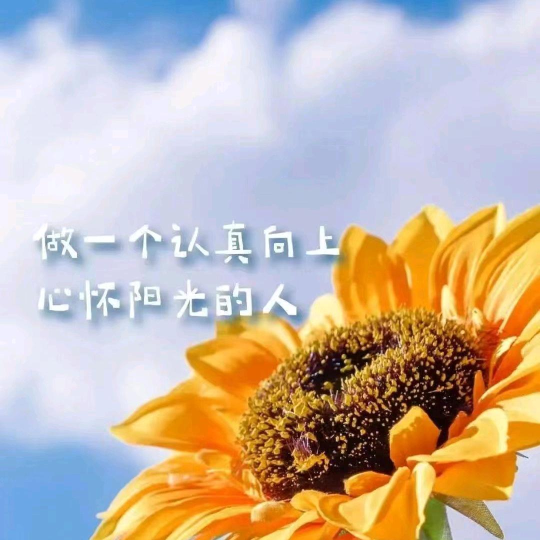 女人花