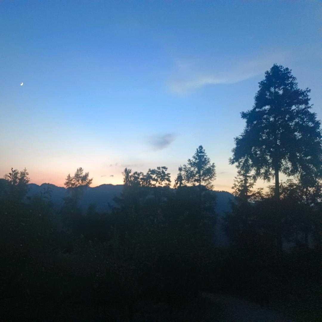 八 号°当 铺⁵²⁰