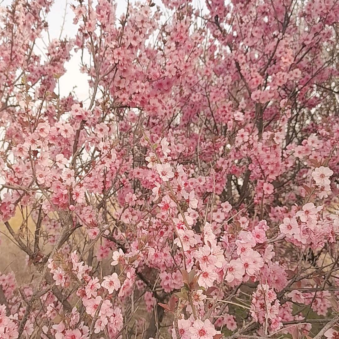 凡尘俗子