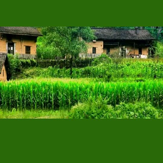 人这辈子太累了