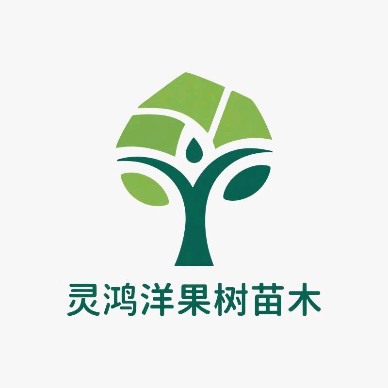 灵鸿洋果树苗木优品店
