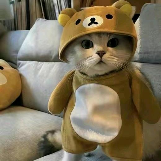 ᶫᵒᵛᵉᵧₒᵤ 💕