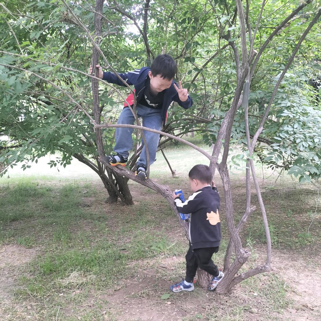 静