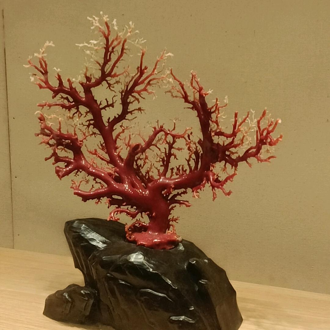 贴砖进无止境