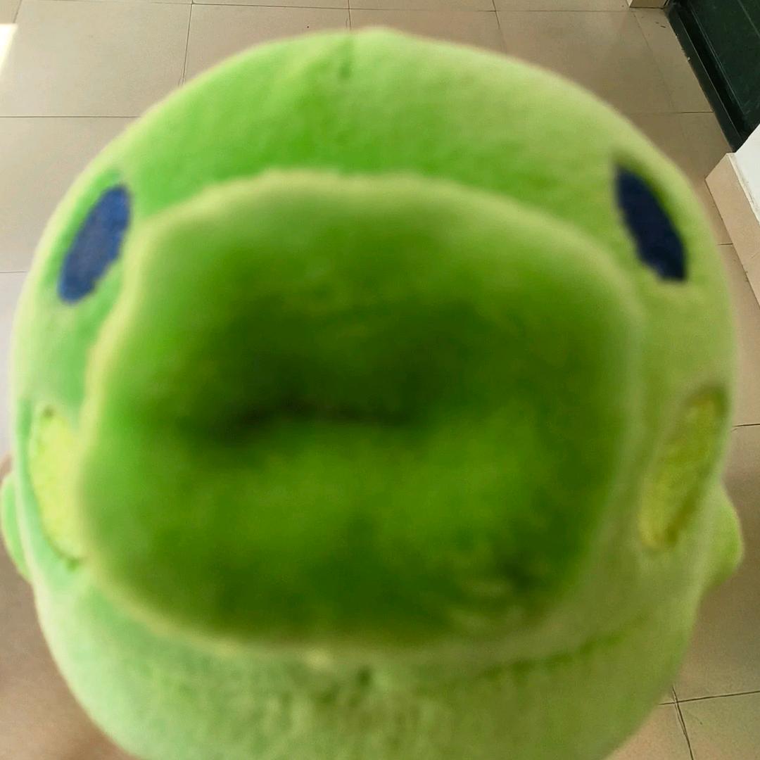 霸霸猫子