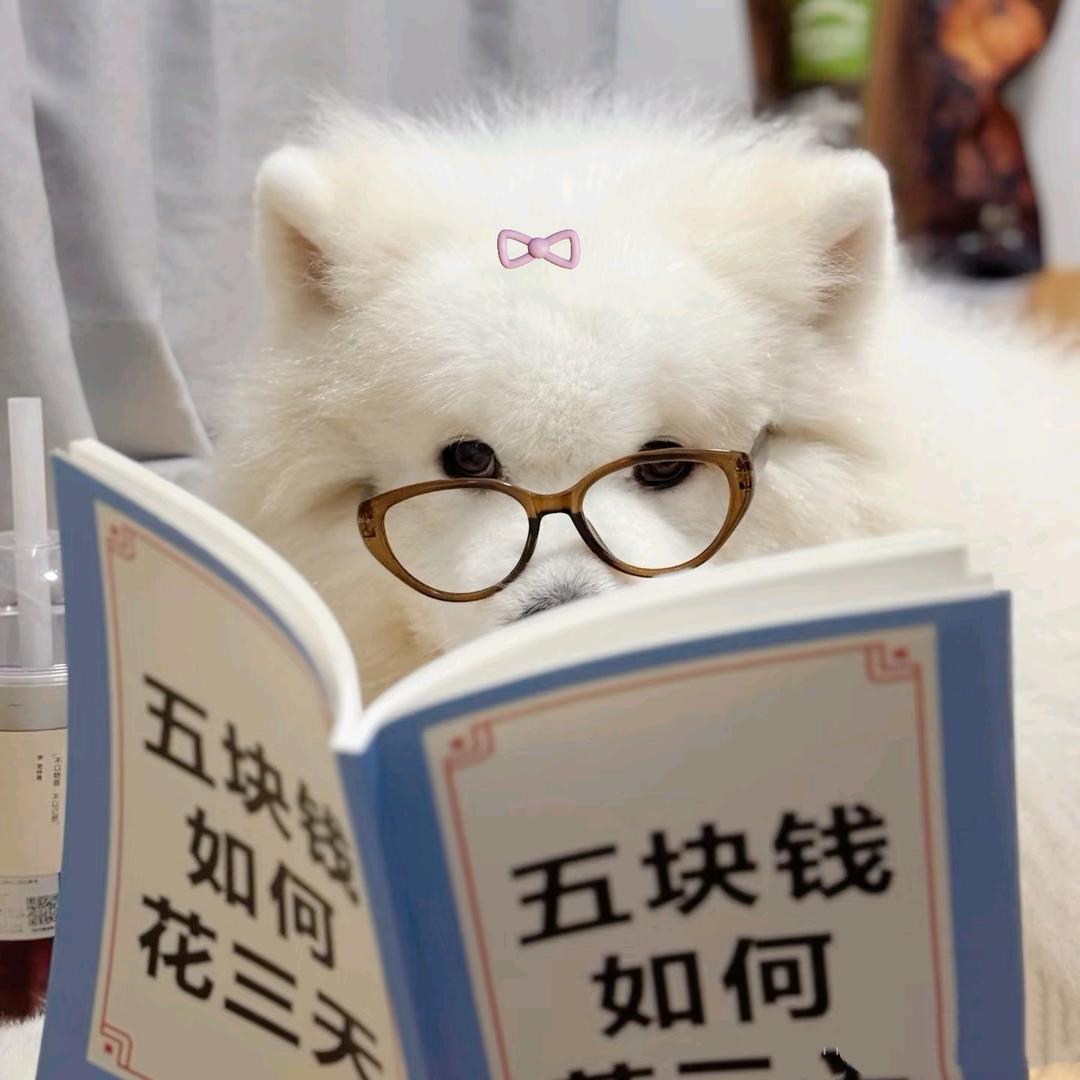 卡卡
