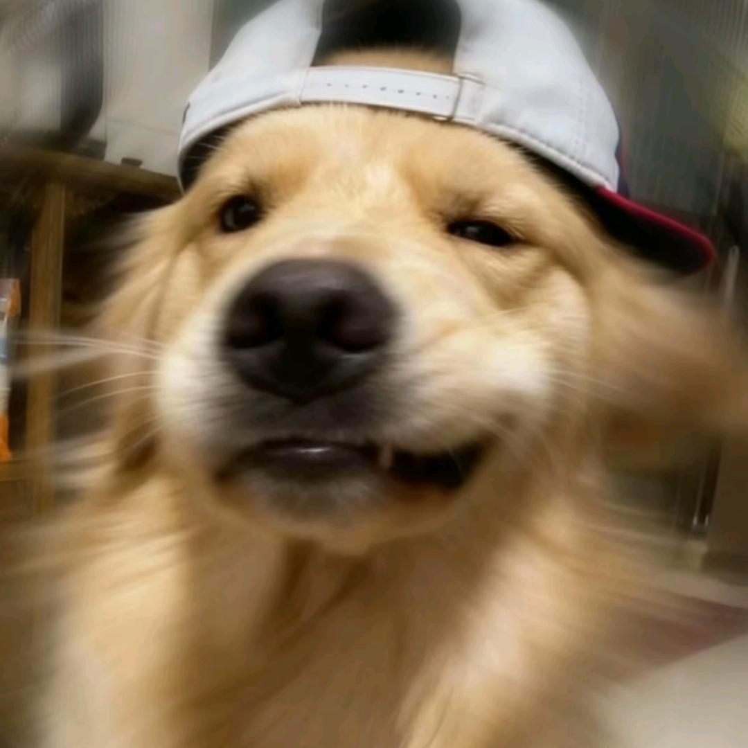 水人