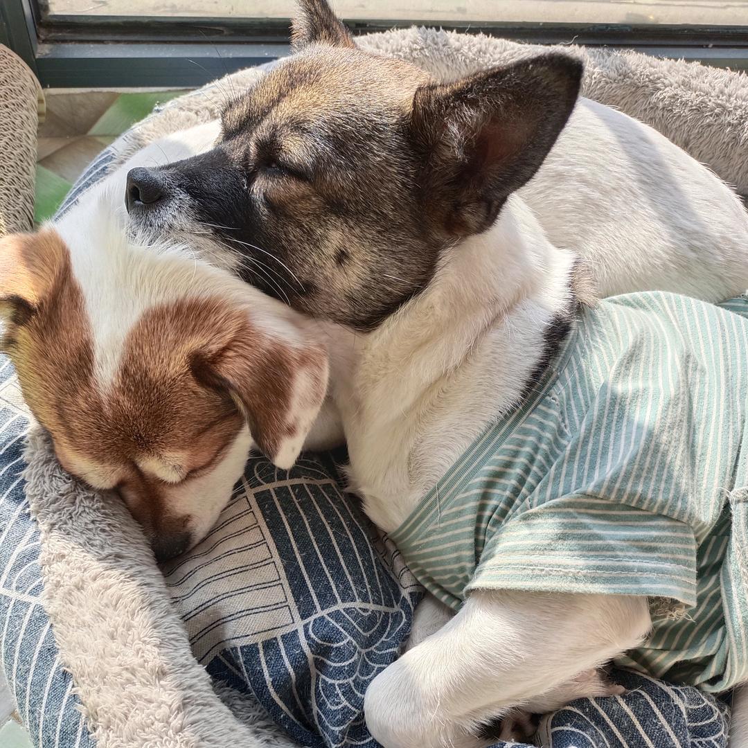 小贝花花⁵ ²H𓇼 ˣʰˣ