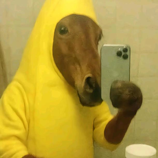 初见月