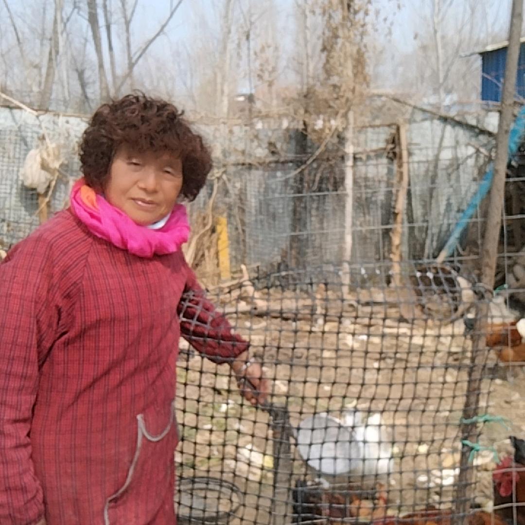 徐妈的农村生活