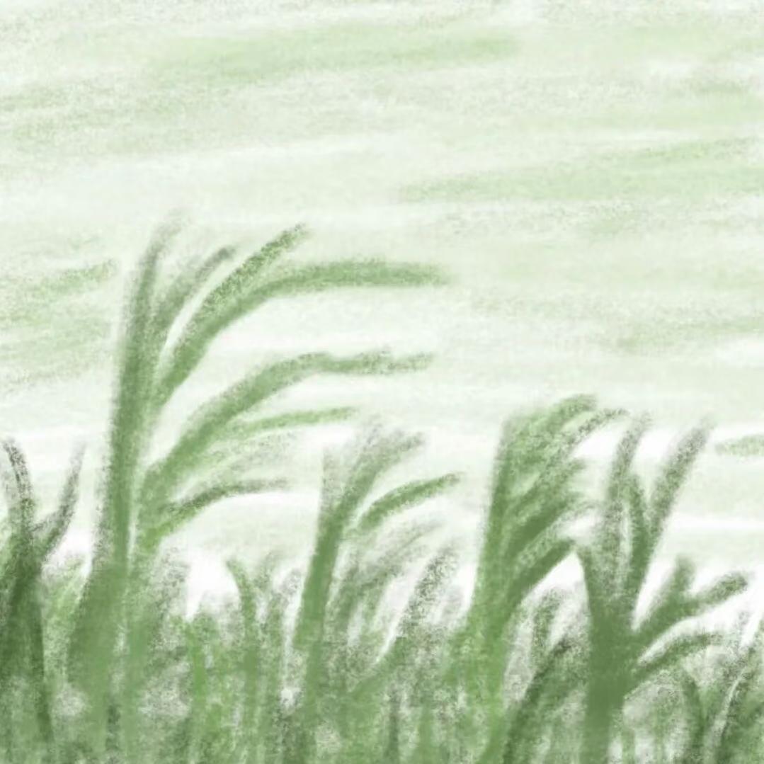愚者体验人生