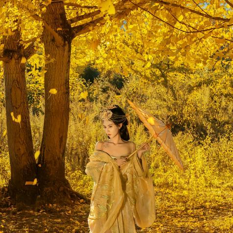 喜游云南-云南专线