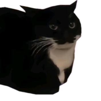 臭猫（雾天(❁´◡`❁)*✲ﾟ*）