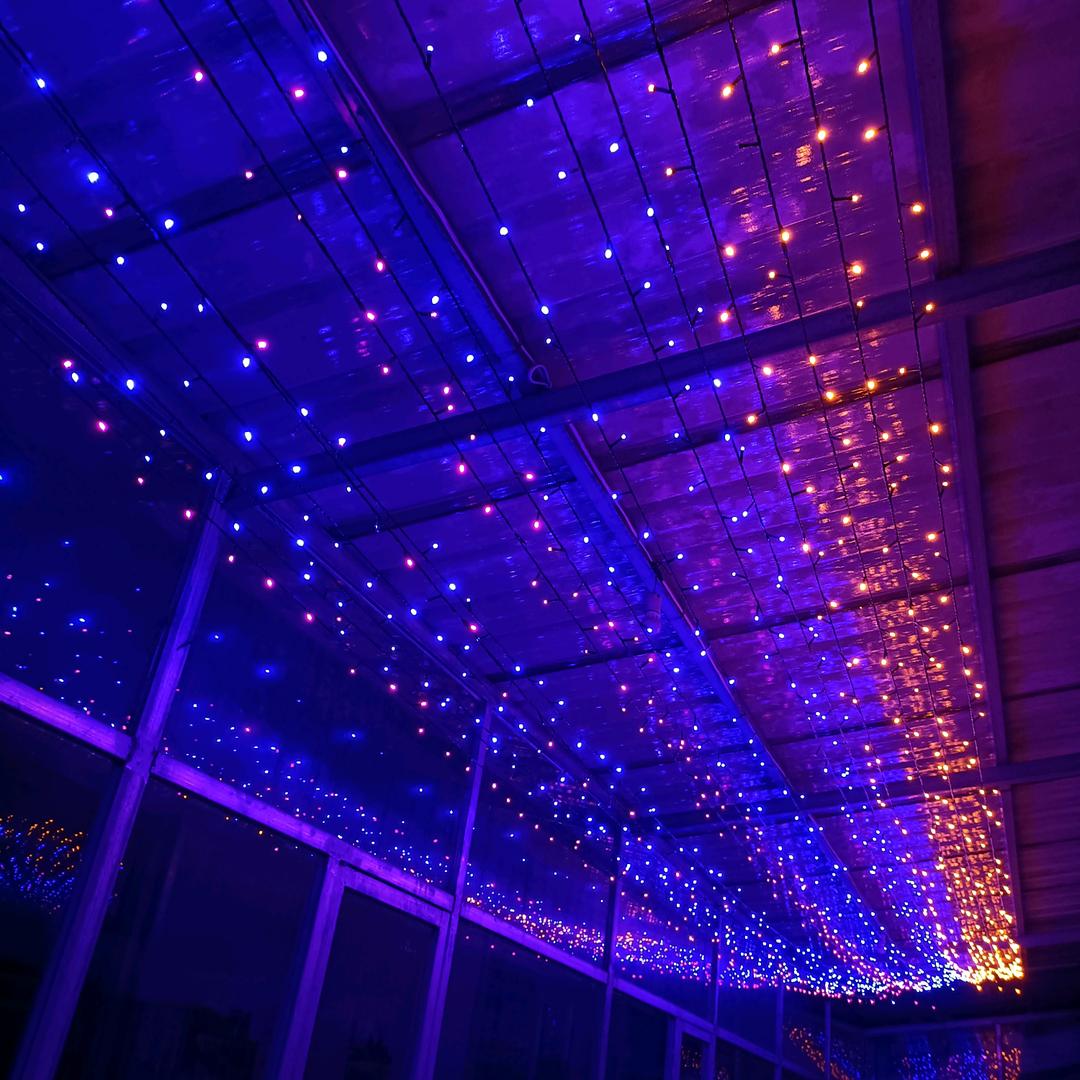 紫云的快乐生活