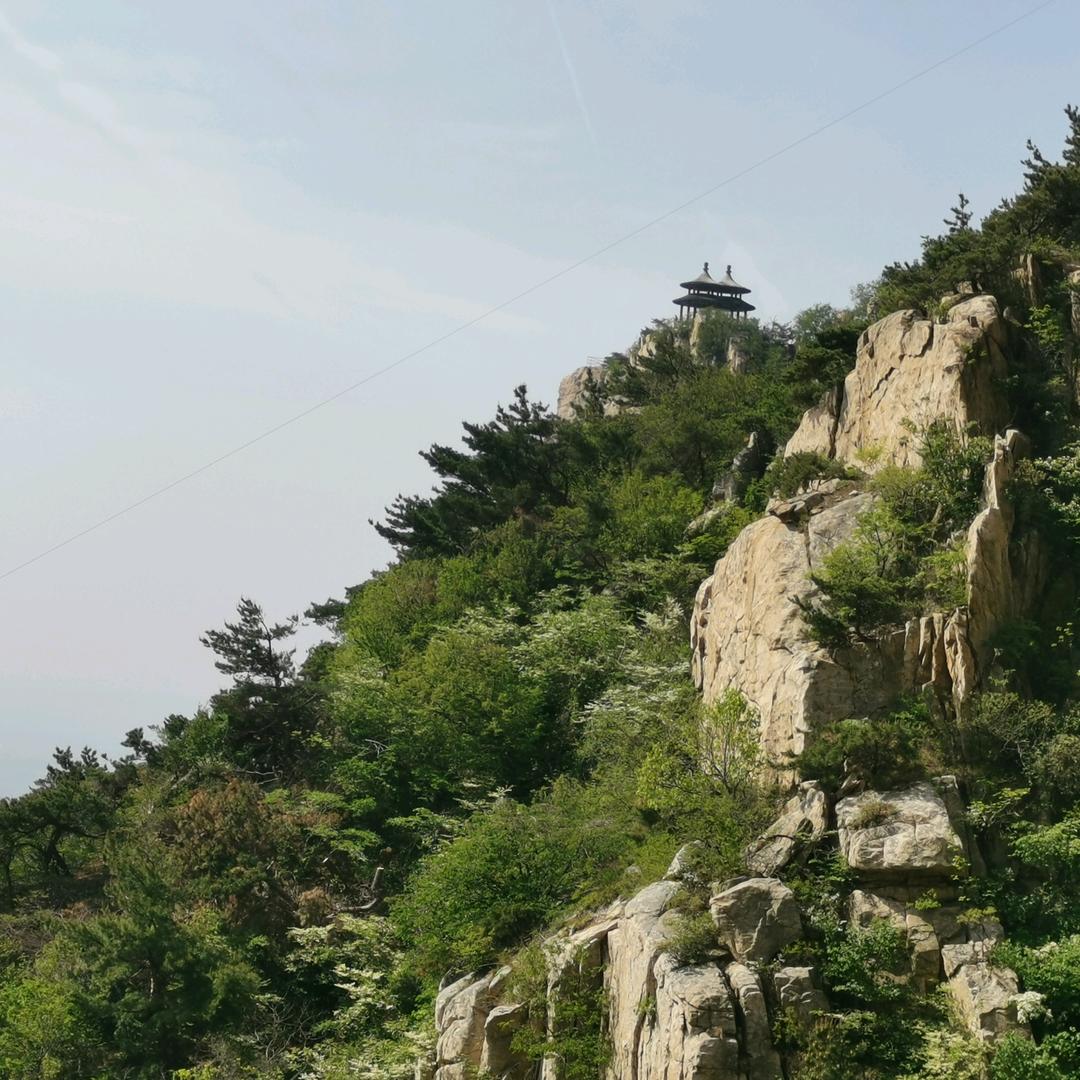 沧海若风