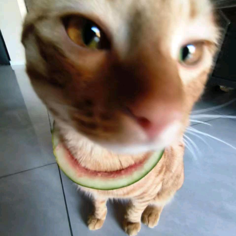 盘子里的鱼