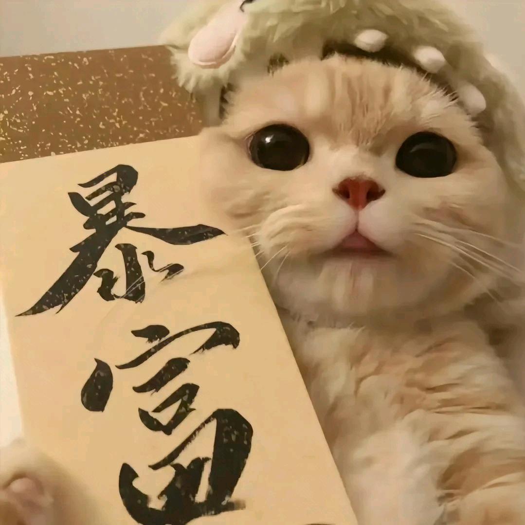 财神爷真爱粉