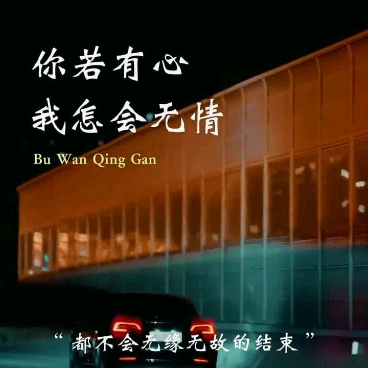 发财猪