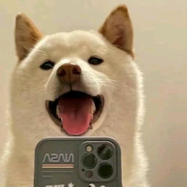 每天一瓶冰可乐