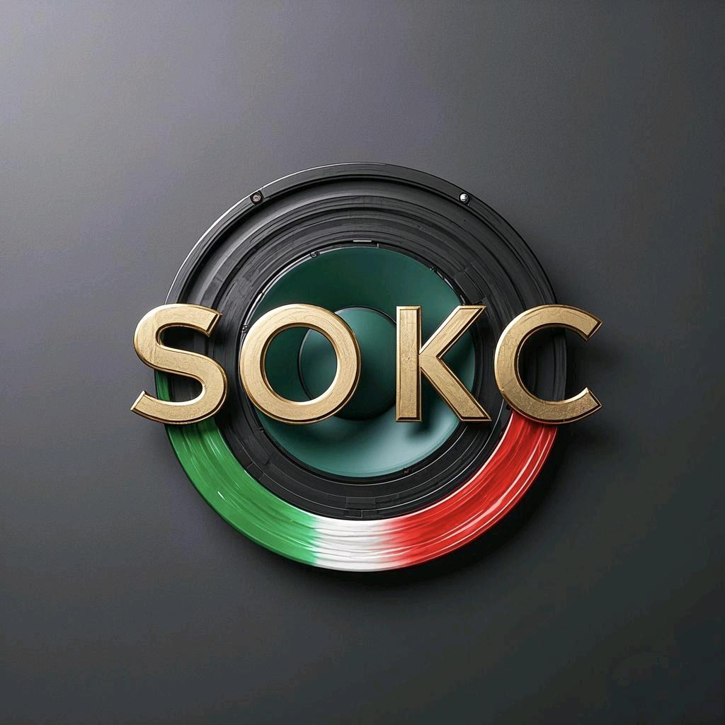 SOKC天马音响厂