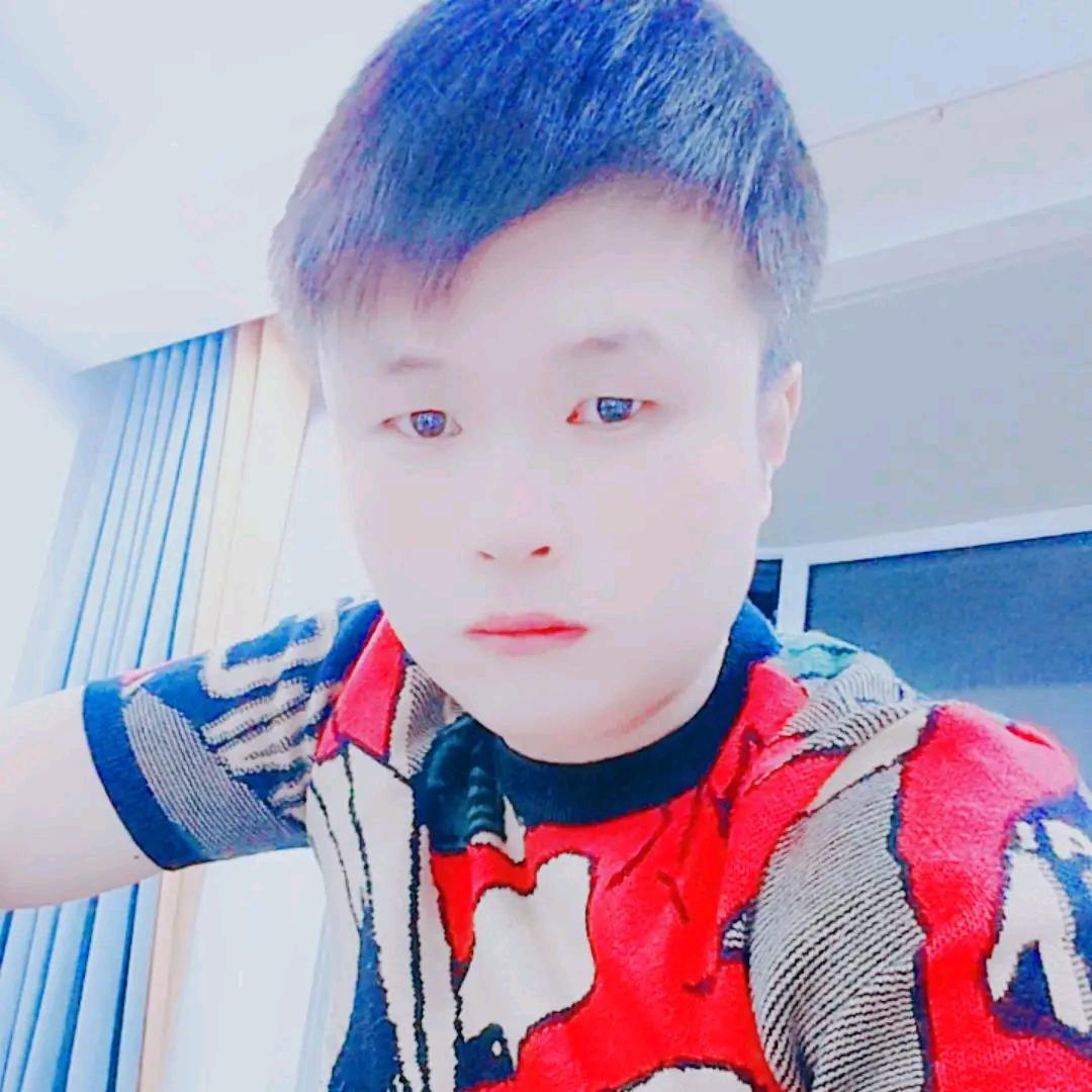 货运磊哥《鸿运车队》