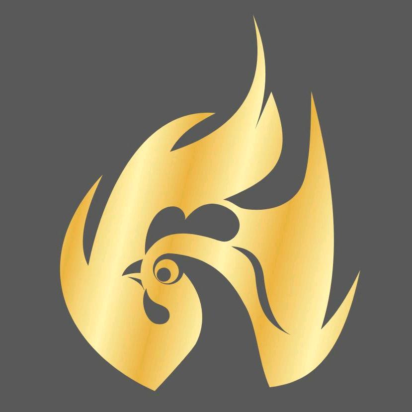虎步游戏软件开发