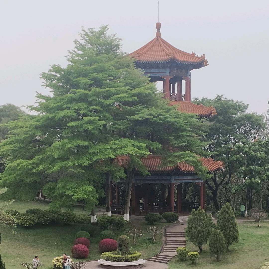 小丸子