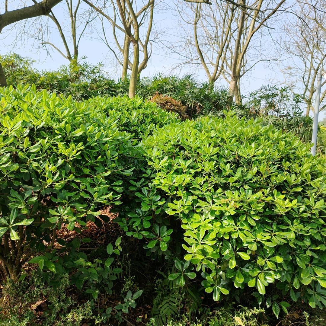 山河万里