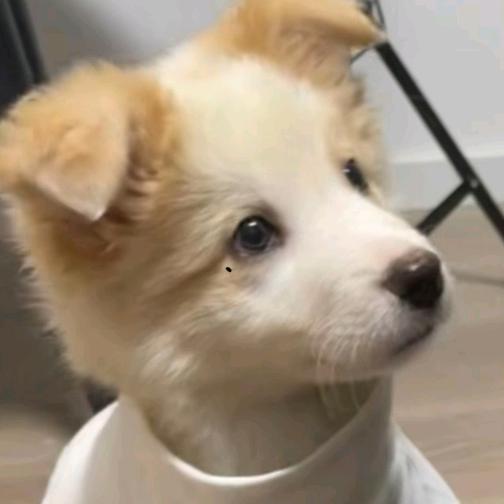 十三香