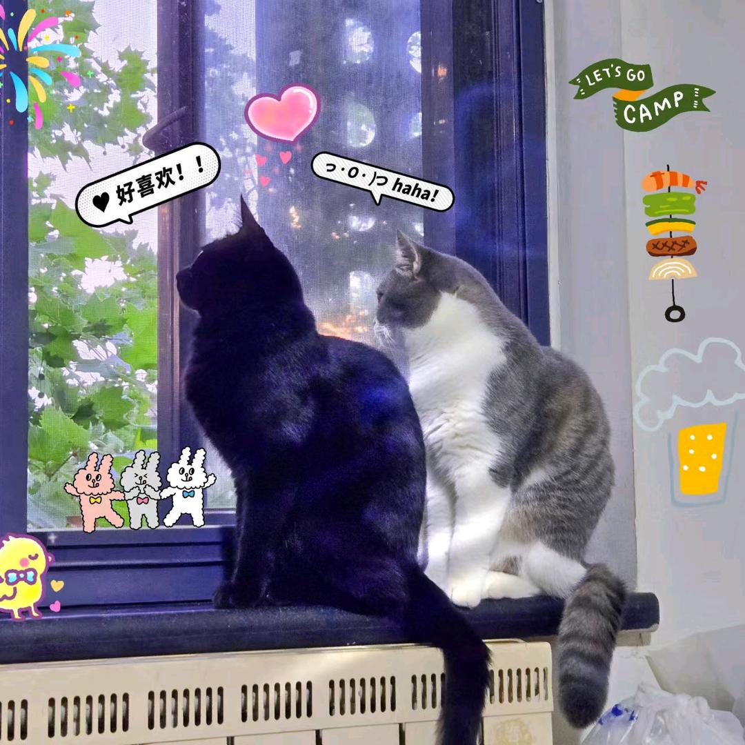 何丶知瑾