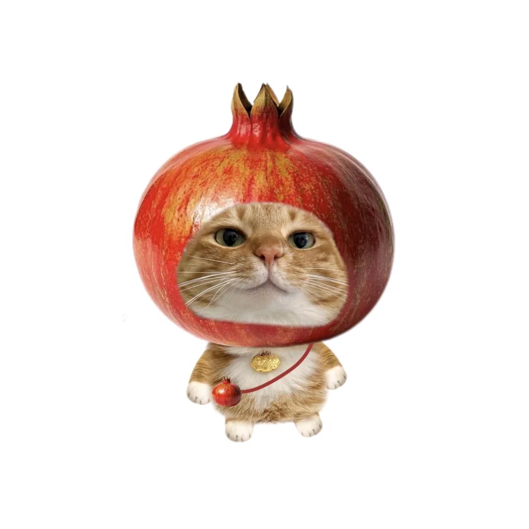 无敌蟑螂头皮屑化身龙卷风席卷全宇宙