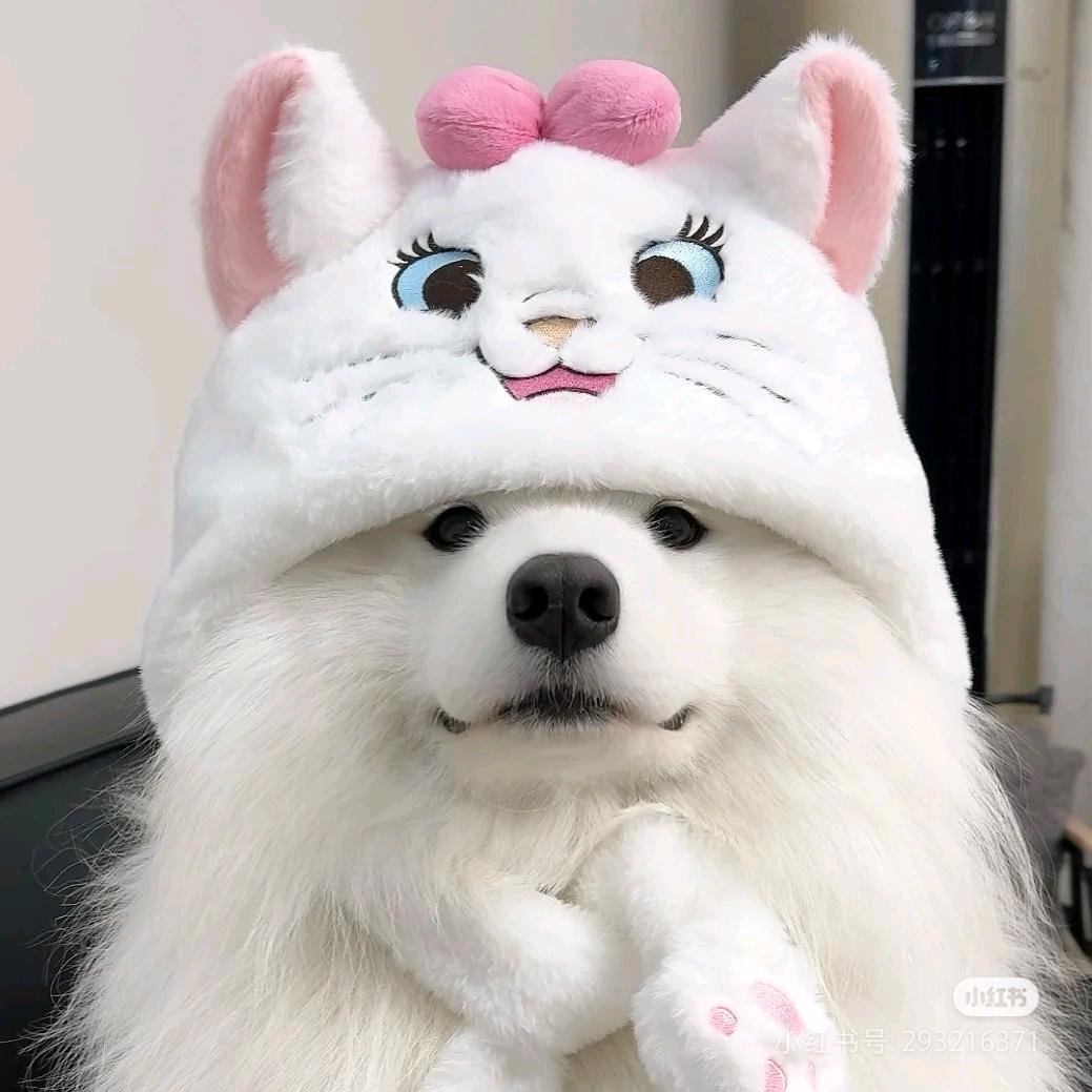 我想睡觉💤