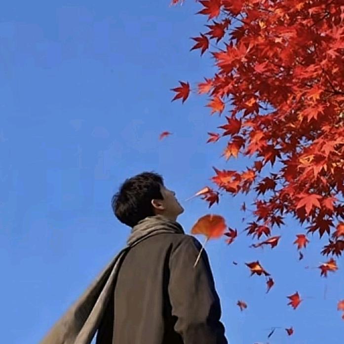 一种喜欢叫晚安